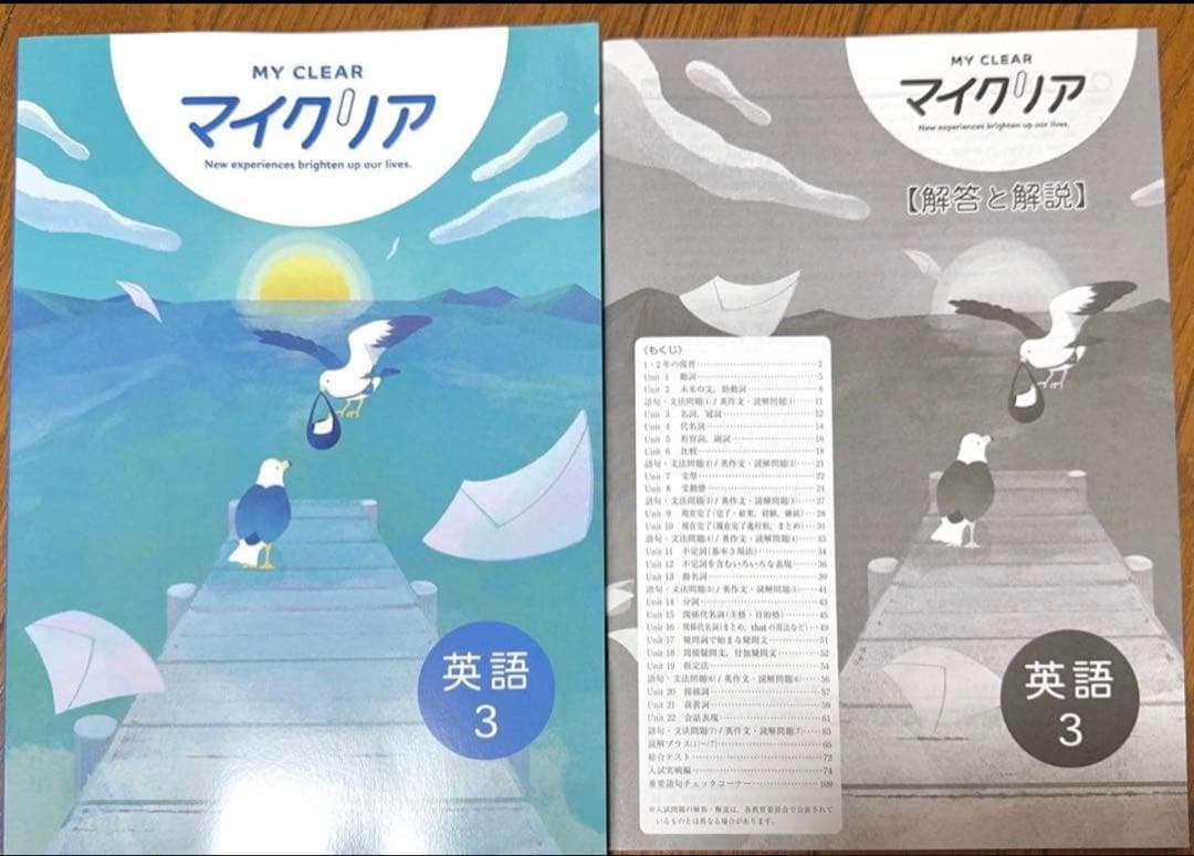 『説明文必読お願いします』YOSHI様 リクエスト 6点 まとめ商品