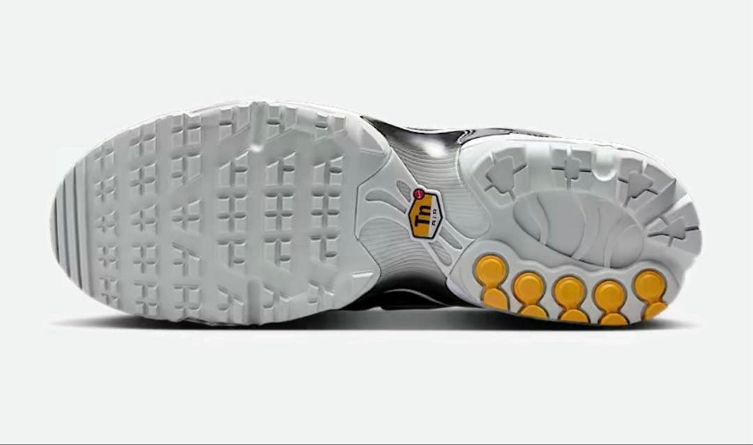 Nike Air Max Plus G ゴルフシューズ