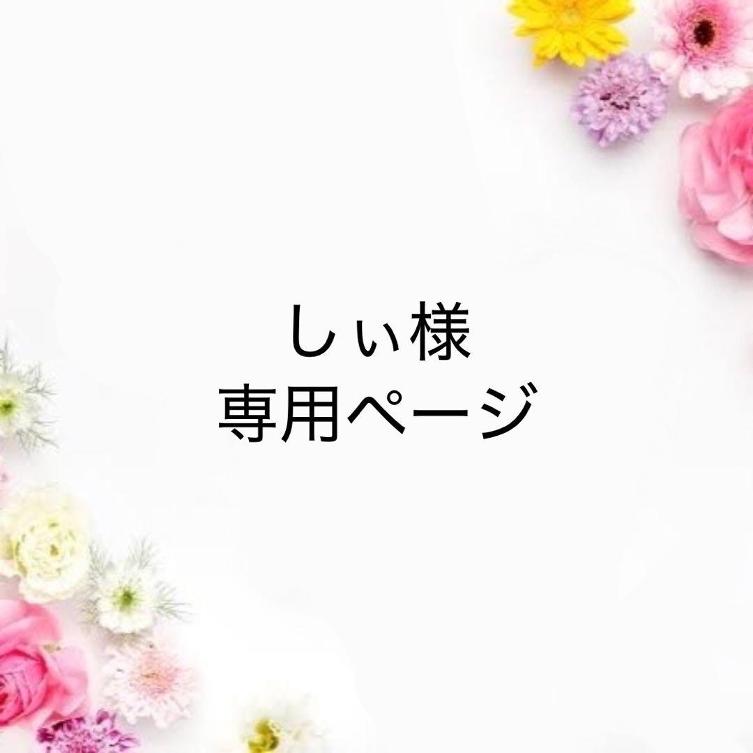 【フェアリーダストビーズ入り】しぃ　ダイヤモンドアート　オーダーメイド