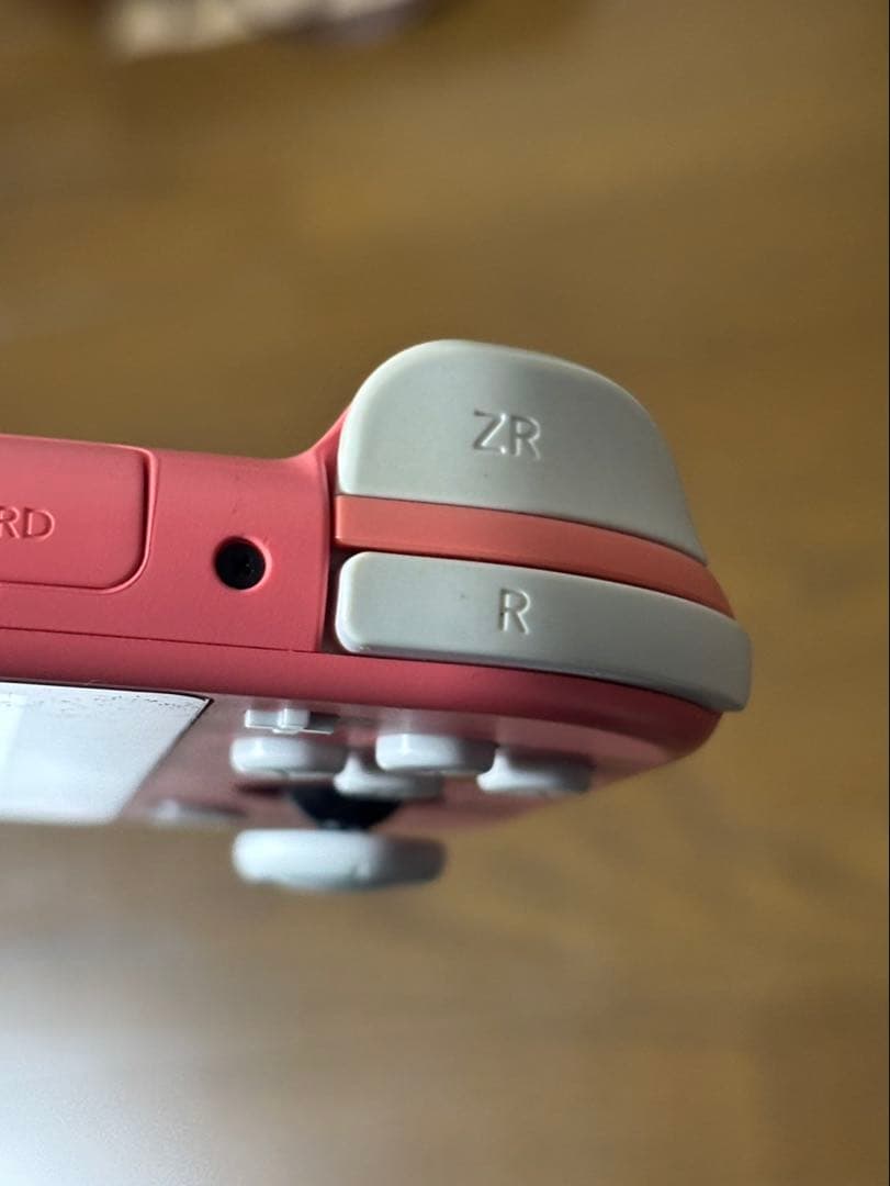 Switch lite スイッチライト 保護フィルム付き