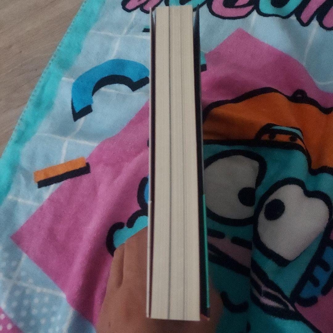 OASIS オアシス : ゲッティング・ハイ