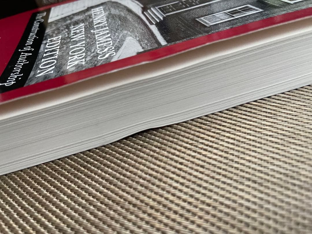 希少　HENRY JAMES'S NEW YORK EDITION