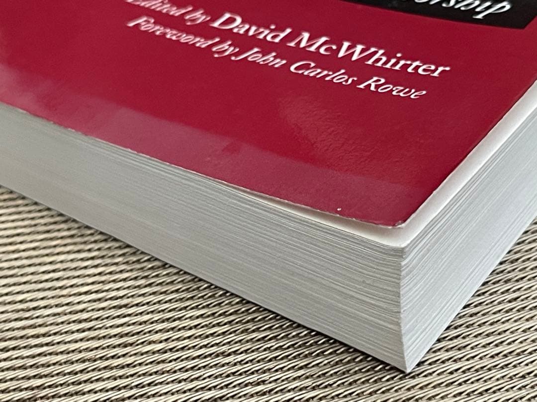 希少　HENRY JAMES'S NEW YORK EDITION