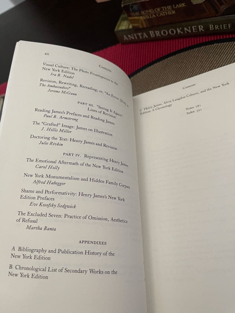 希少　HENRY JAMES'S NEW YORK EDITION