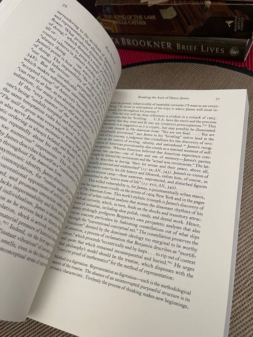 希少　HENRY JAMES'S NEW YORK EDITION