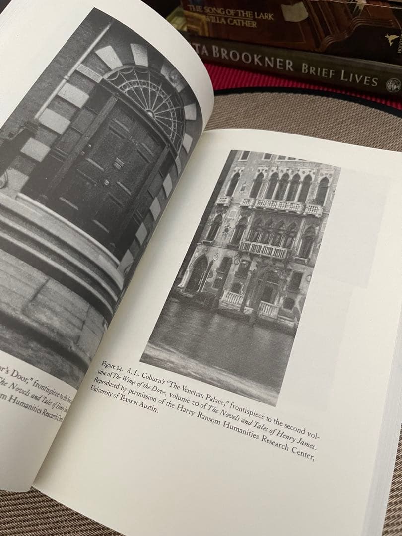 希少　HENRY JAMES'S NEW YORK EDITION