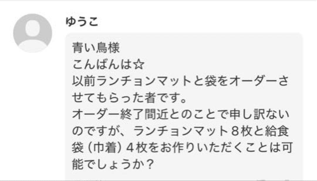 ゆうこ様 給食セット ランチョンマット ナフキン 巾着袋 入学入園 ハンドメイド