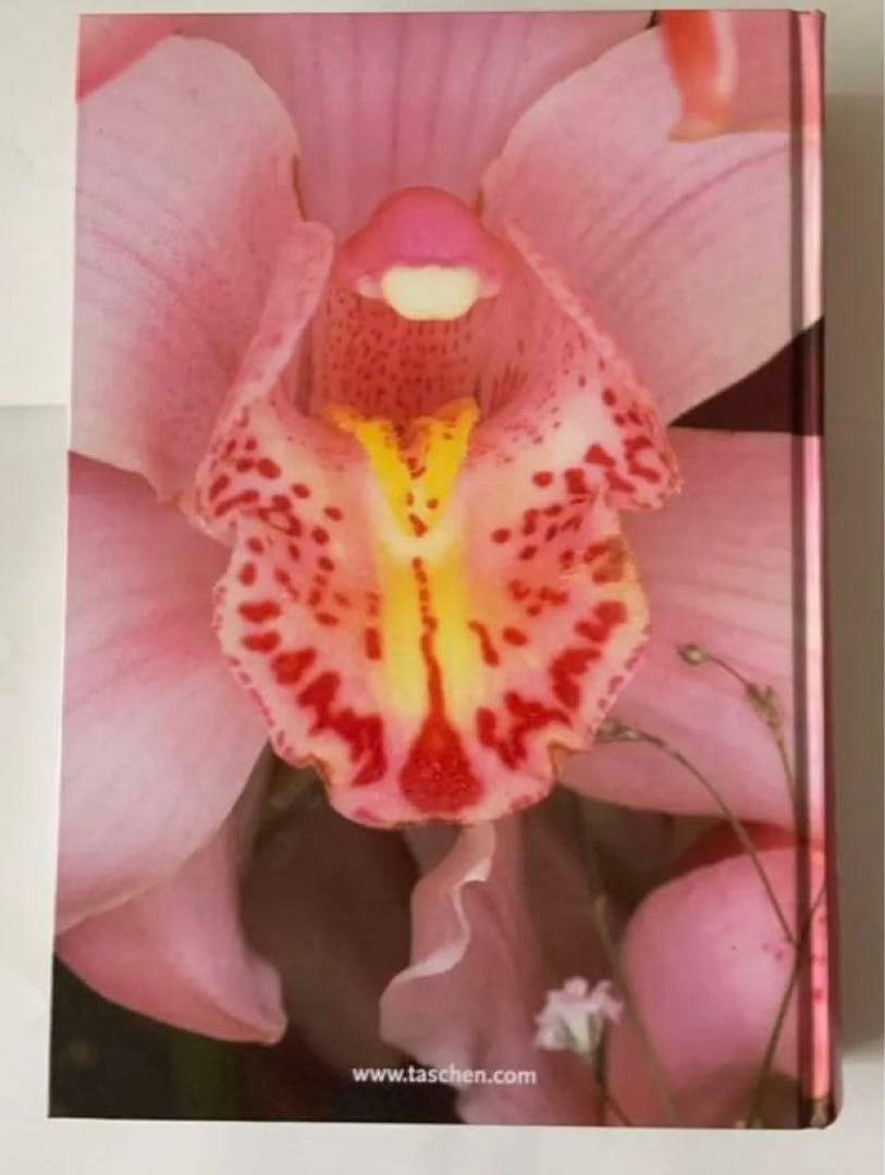 荒木経惟ARAKIタッシェン25周年記念版