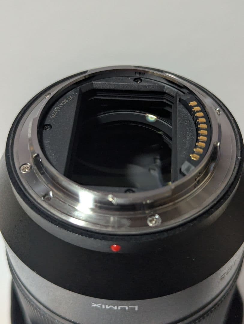 レンズ(ズーム) LUMIX S 24-105mm F4 MACRO O.I.S.