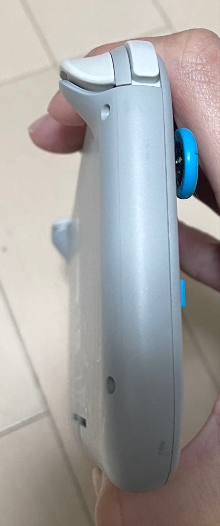 Nintendo Switch Lite ポケモン　ザシアン・ザマゼンタ