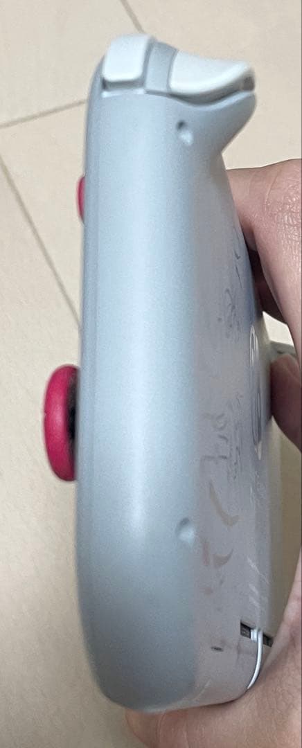 Nintendo Switch Lite ポケモン　ザシアン・ザマゼンタ