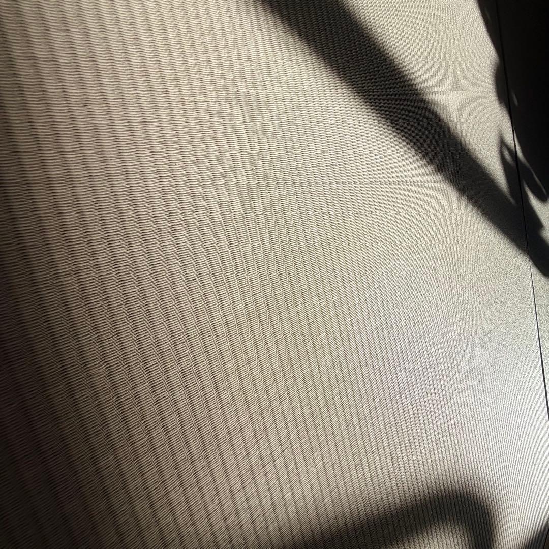 部屋を広くする家具 LIVING BED （旭川家具）セミダブル