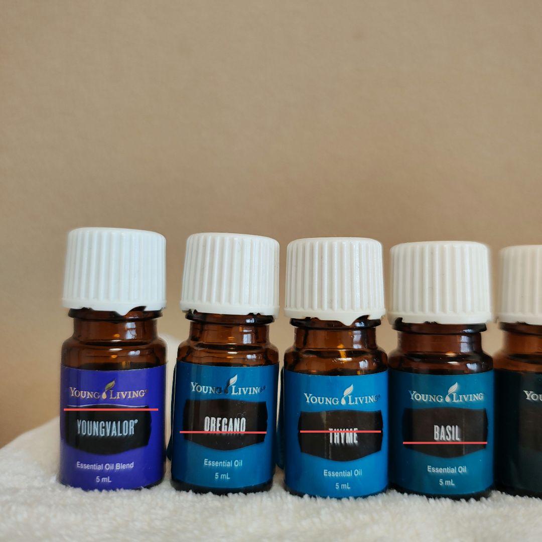 ヤングリビング　レインドロップテクニック　９本