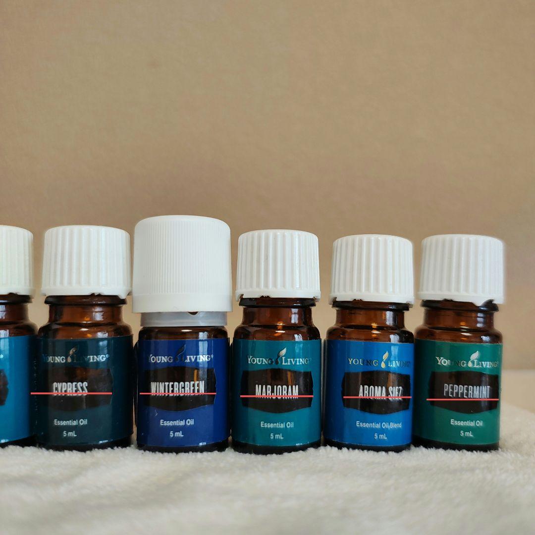 ヤングリビング　レインドロップテクニック　９本