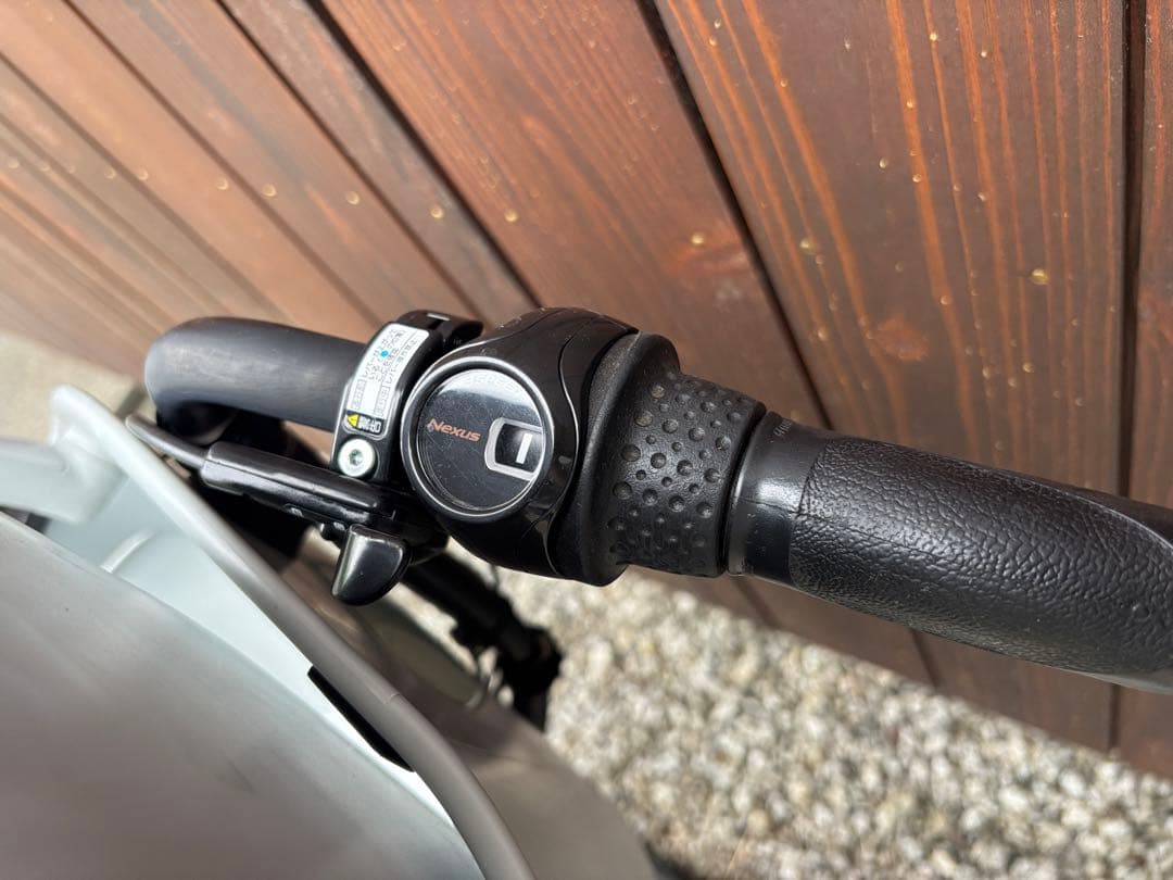 bikke POLARe ブルーグレー 2020年購入