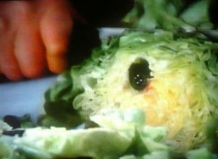 【廃盤】スラッグス SLUGS　ホラー グロテスク モンスターパニック