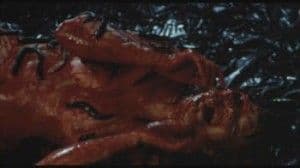 【廃盤】スラッグス SLUGS　ホラー グロテスク モンスターパニック