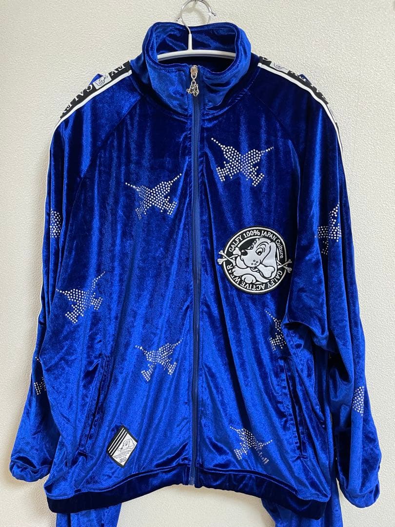 GALFY ガルフィー ピカピカ注射器 セットアップ　ブルー L