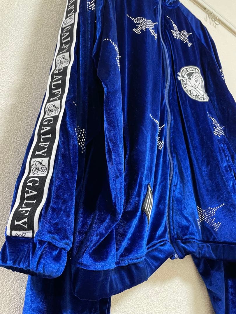 GALFY ガルフィー ピカピカ注射器 セットアップ　ブルー L