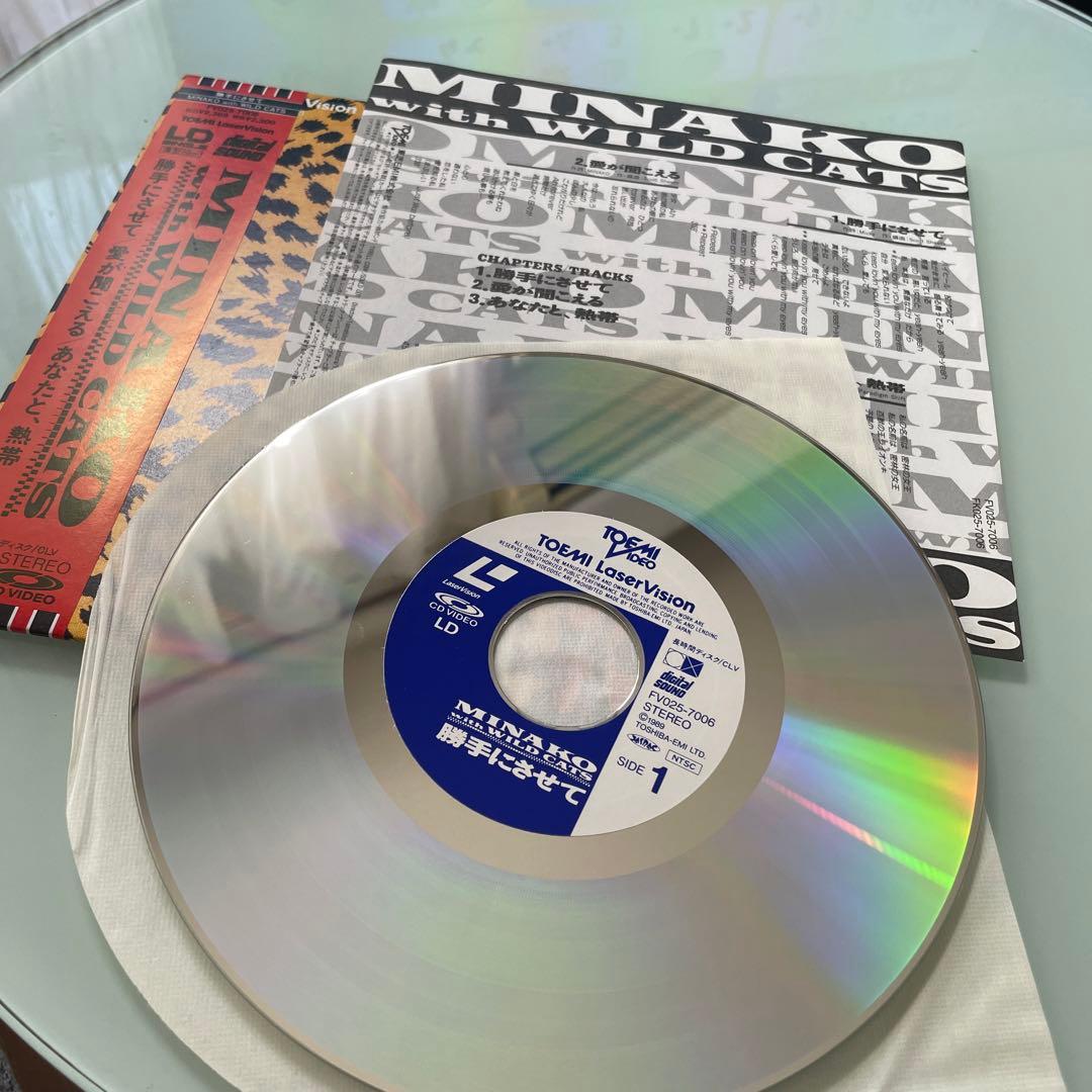 本田美奈子　勝手にさせて　LD レーザーディスク　シングル　昭和アイドル