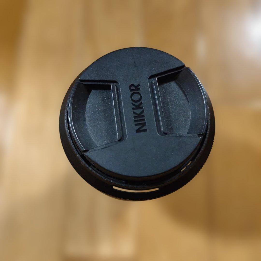 ma (NIKKOR 24-120mm f/4 ズームレンズ)