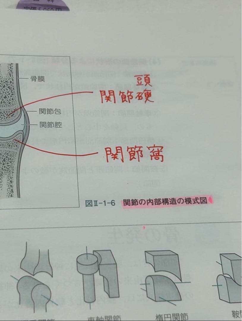 歯科衛生士 教科書 まとめ売り 2024 15点セット