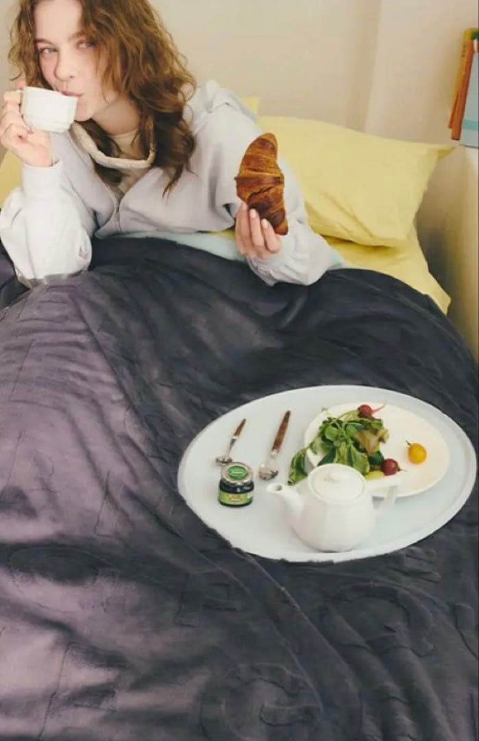 【限定値引 送料込】定価¥11000ジェラピケ2025 新品未使用ロゴ毛布グレー