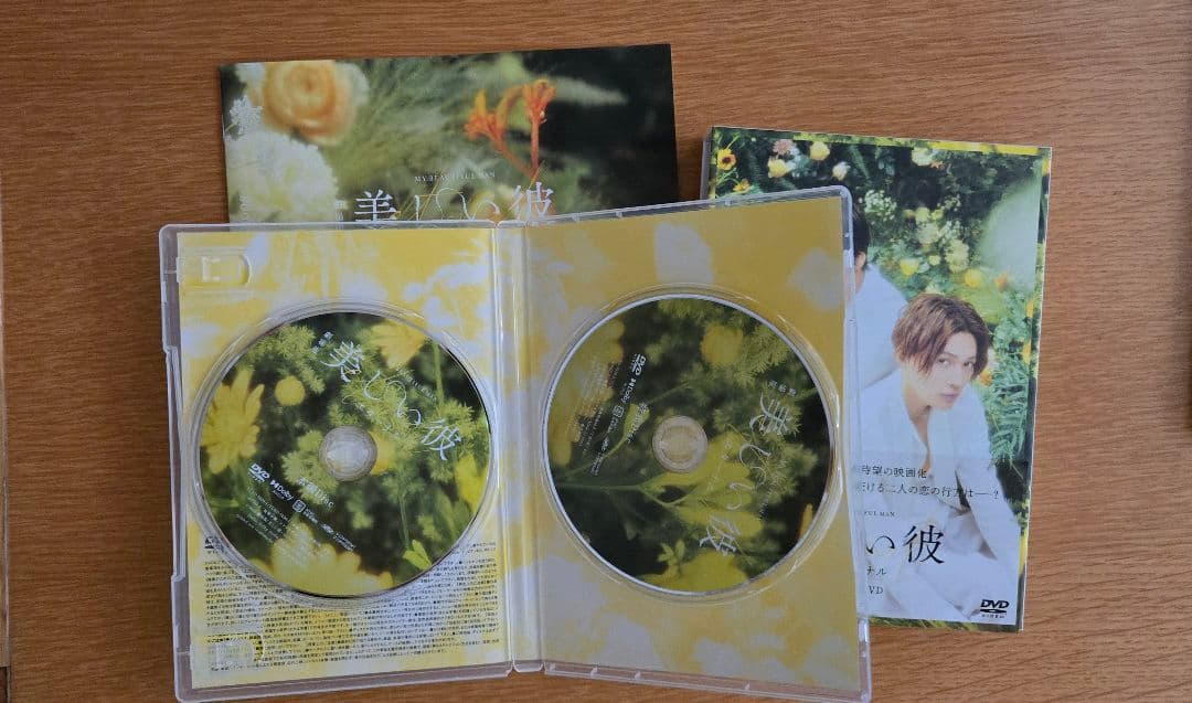 美しい彼 DVD 3種 ＋ ビジュアルブック2＋ シナリオブック