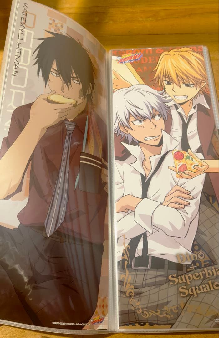 リボーン キャラポス 収納ファイル ポスター 32枚 美品