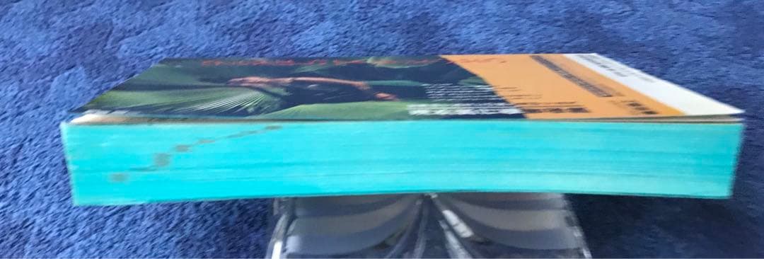 書籍　地球の歩き方\"ソ連\"(1991-1992年版)