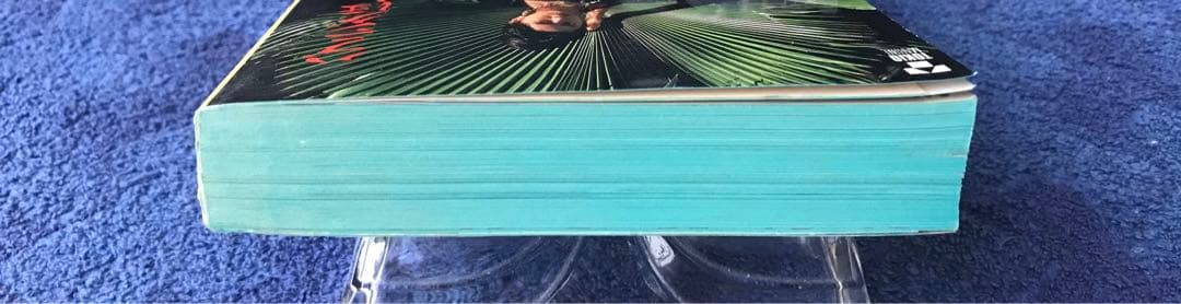 書籍　地球の歩き方\"ソ連\"(1991-1992年版)