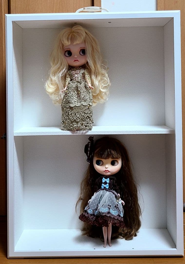 ブライス大型ドールケース白