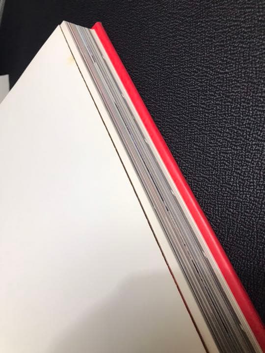 ハードカバー版石岡瑛子風姿花伝―Eiko by Eiko