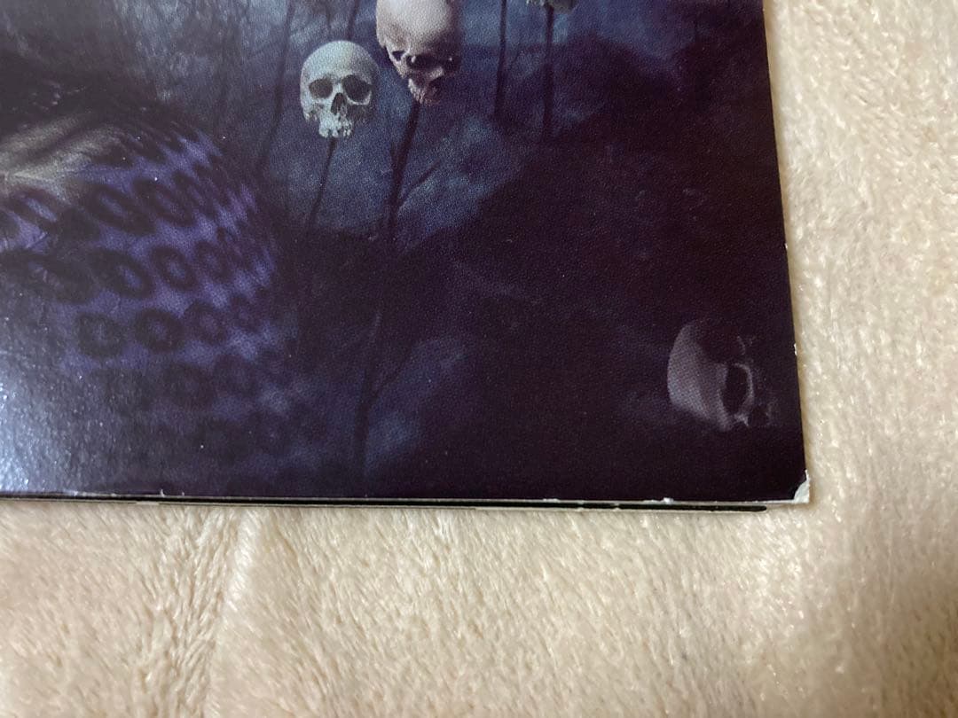 IRON MAIDEN / VIRUS (2CD BOX) 輸入盤 希少品