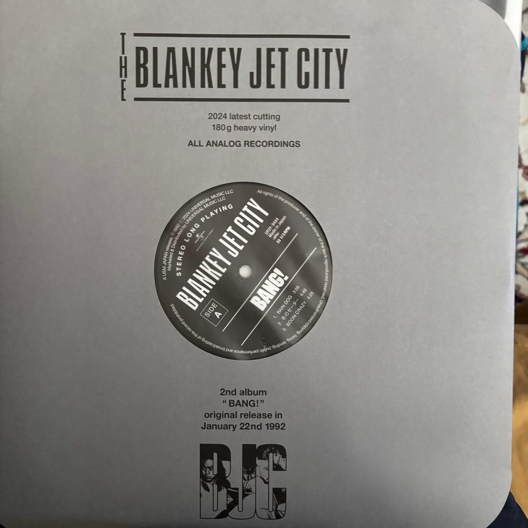 Blaankey Jet City LP 2枚セット　ブランキー　レコード