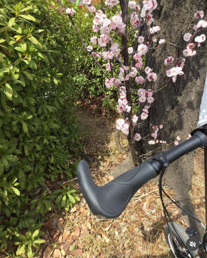 DAHON K3 折りたたみ自転車 ブラウン・ブラック 輪行袋付き