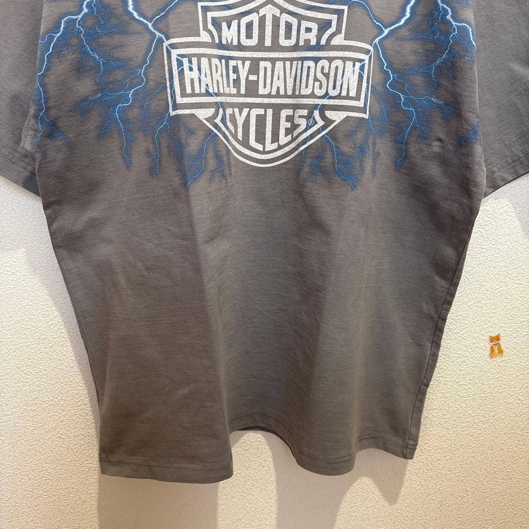 J*0様 NEIGHBORHOODネイバーフッドTシャツHARLE-DAVIDS