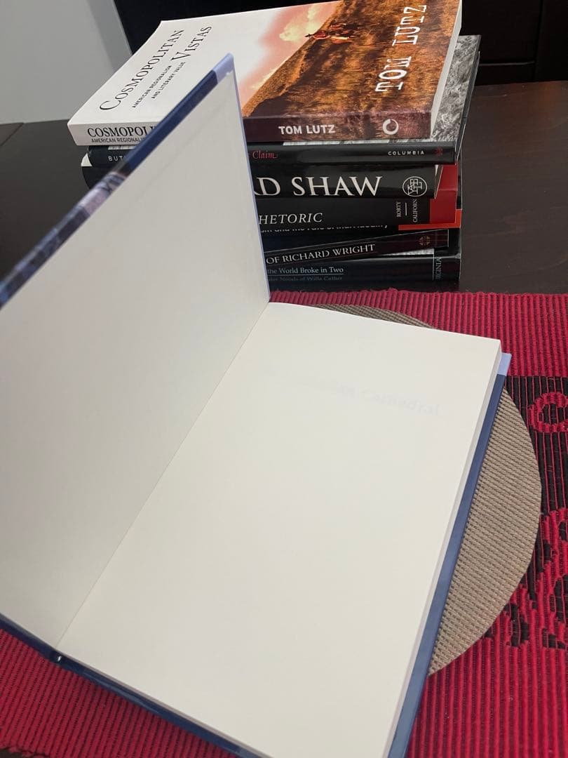 洋書 THE CATHERIAN CATHEDRAL