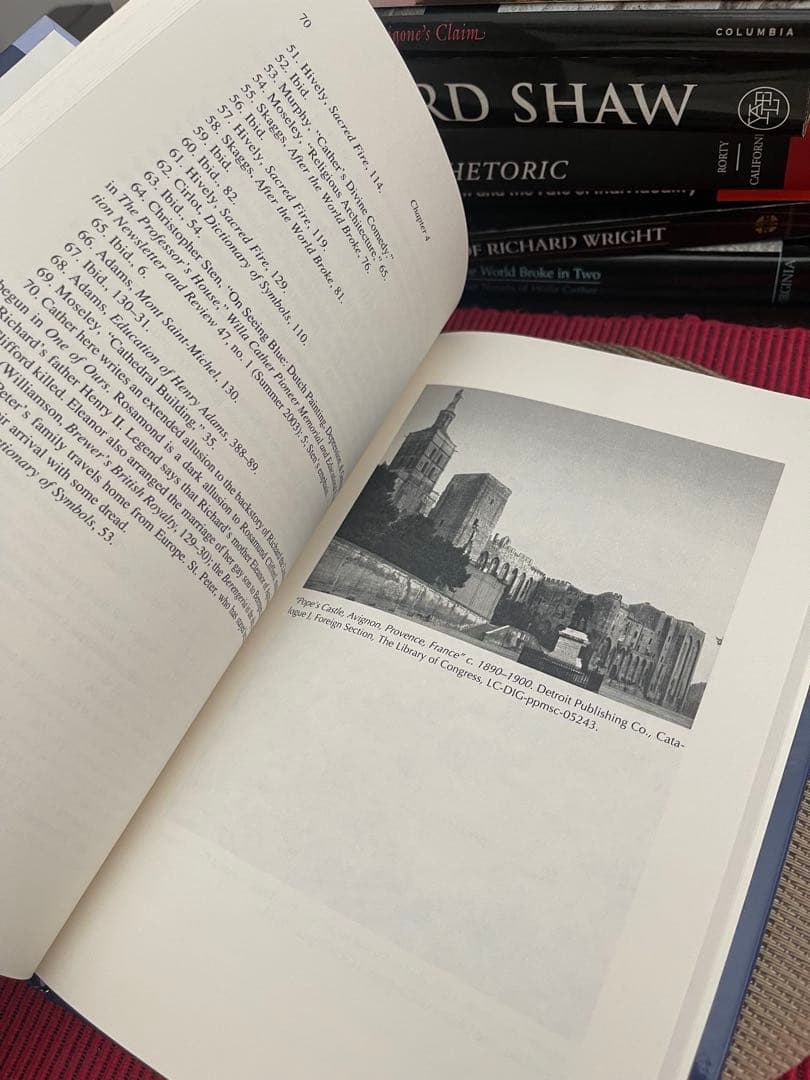 洋書 THE CATHERIAN CATHEDRAL