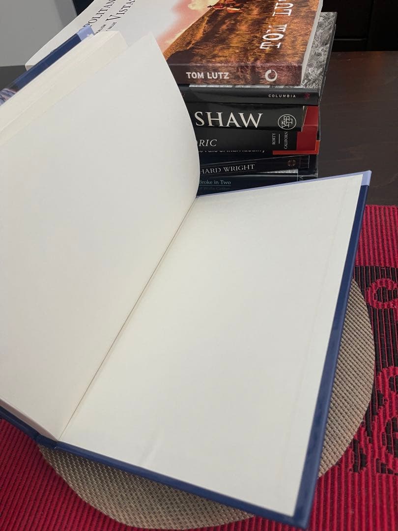 洋書 THE CATHERIAN CATHEDRAL