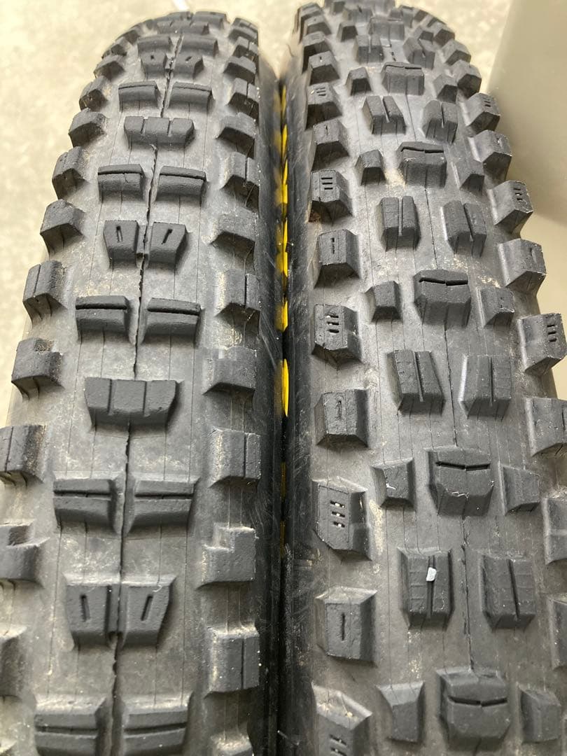 MAXXIS Assegai 29×2.5 & MinionDHR 29×2.4