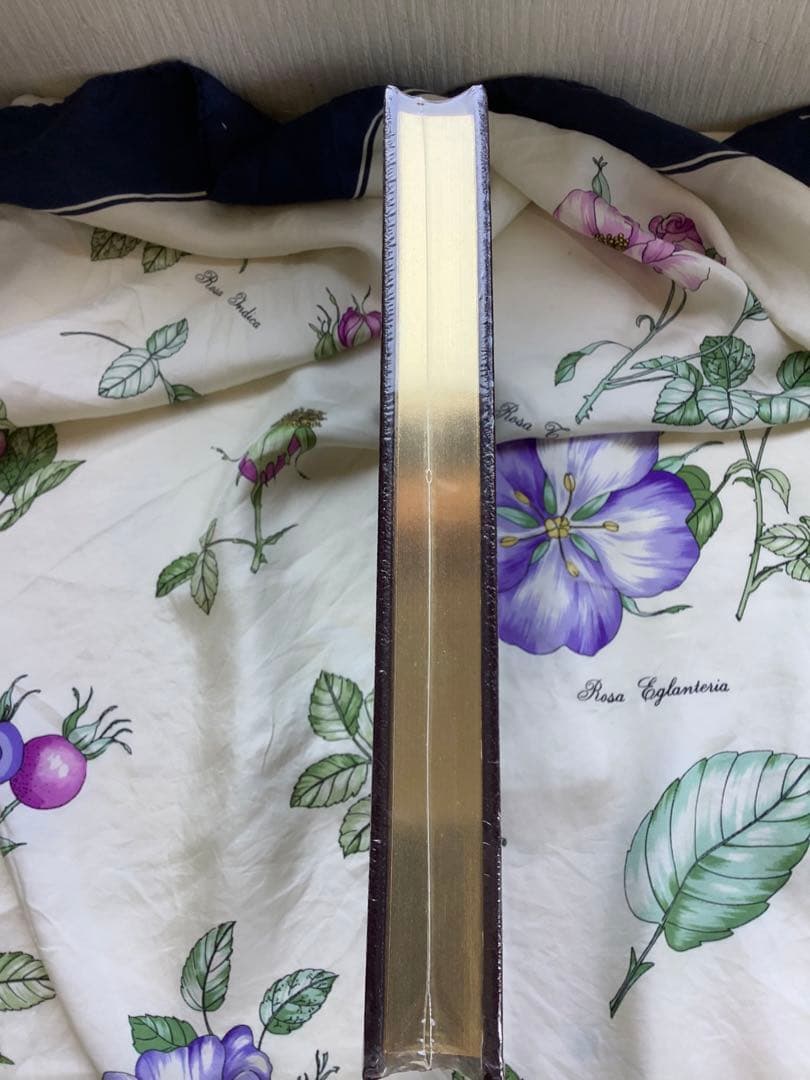 Autobiography Benjamin Franklin自叙伝フランクリン