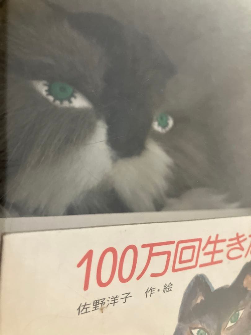 【新品】100万回生きたねこ ぬいぐるみとミニBOOKセット 限定3000セット