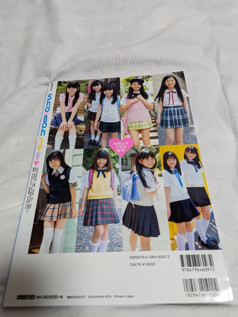 海王社ムック ShoBoh ショーボー Vol 29 DVD付き