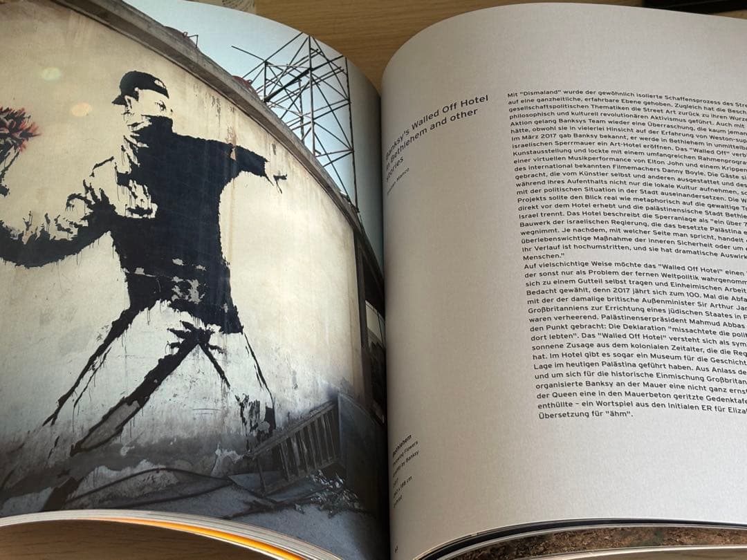 Banksy's Dismaland & Others バンクシー　アートブック