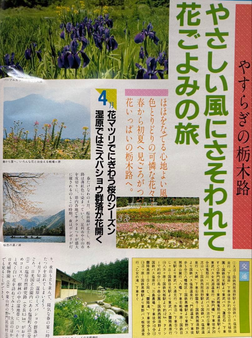 るるぶ 鎌倉・湘南・三浦半島　1984年