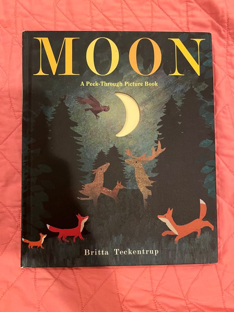 英語絵本・児童書 33冊セット 美品多数 ハードカバー中心