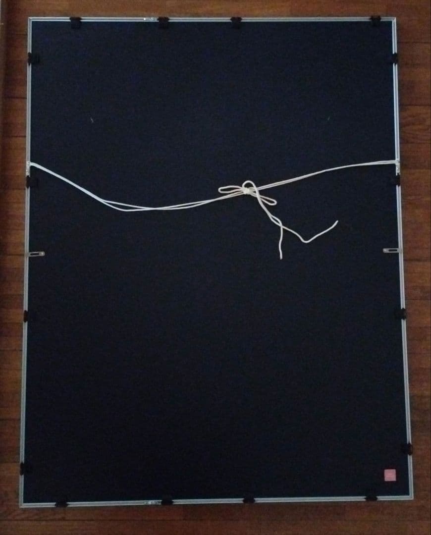 FIFA認定証付　コッリーナ　直筆サイン入り特大ポスター91cm特注額　最終価格