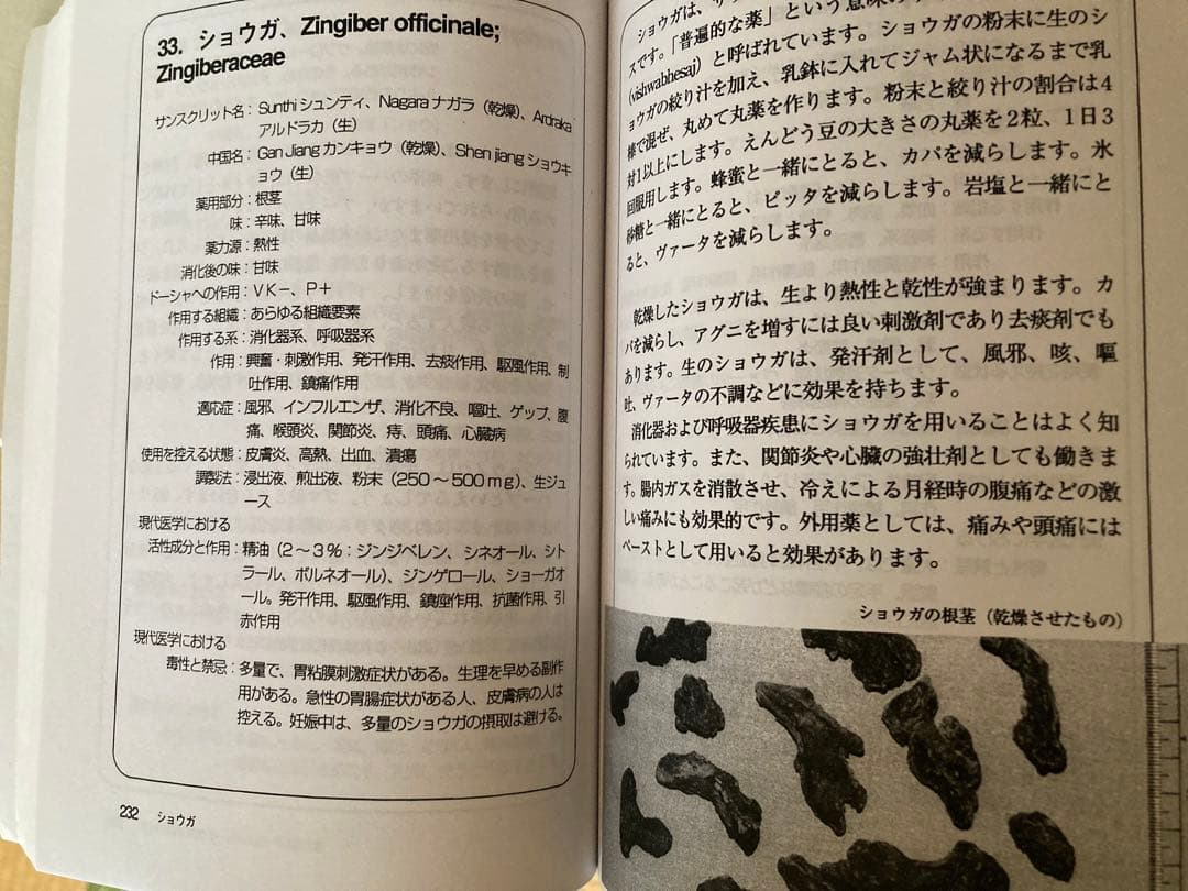 アーユルヴェーダのハーブ医学 上馬場和夫