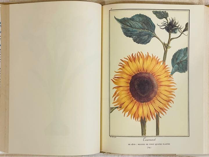 【大型本】FLOWER＆FRUIT PRINTS　ボタニカル